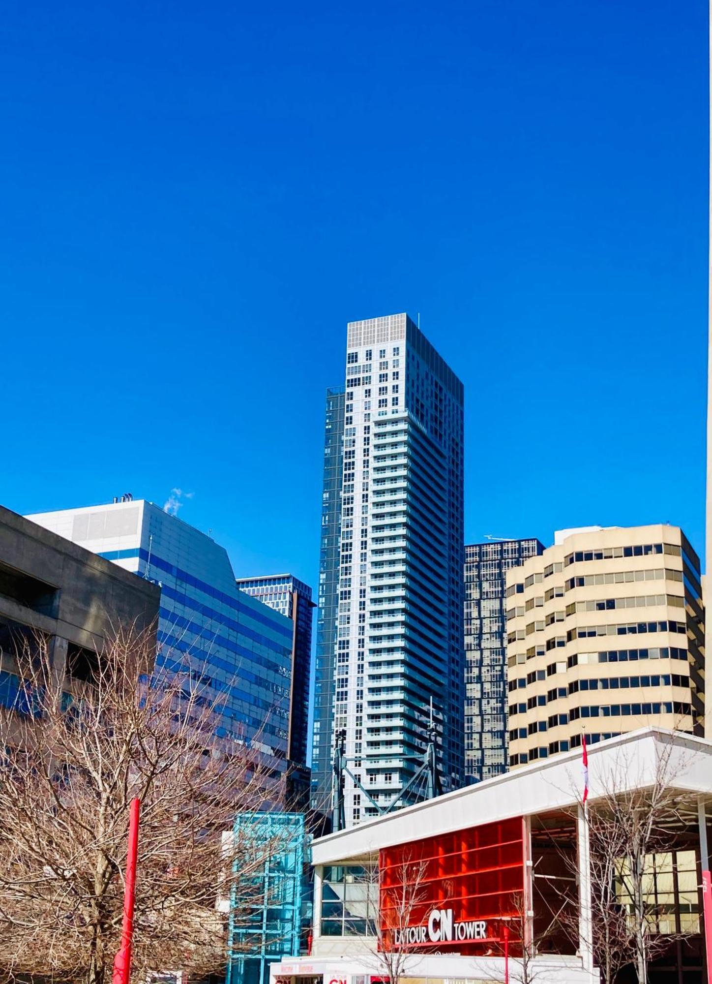 Central Toronto Suite - Free Parking, City Views, Near Cn Tower ภายนอก รูปภาพ